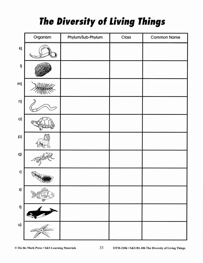 Animal Classification Worksheet Pdf Unique 52 Classification organisms Worksheet Animal