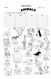Animal Classification Worksheet Pdf Unique English Teaching Worksheets the Animals