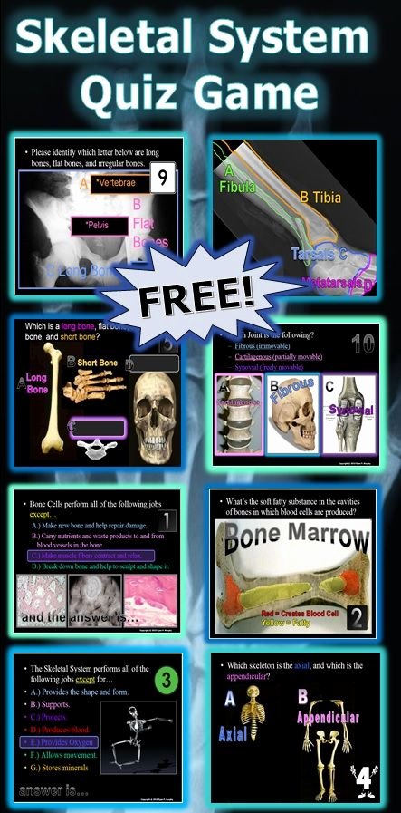 Appendicular Skeleton Worksheet Answers New This is A Free 200 Slide Powerpoint Quiz Game About the