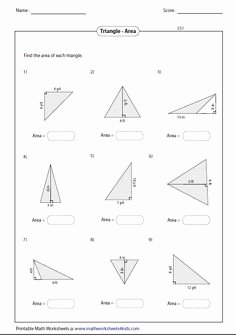 Area Of A Triangle Worksheet Elegant area Of A Triangle Worksheets 7th Grade