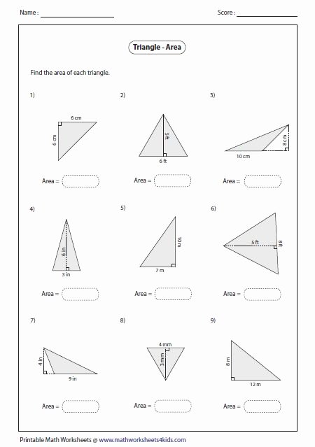 Area Of Triangles Worksheet Pdf Unique 17 Best Images About Algebra On Pinterest