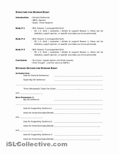 Argumentative Essay Outline Worksheet Best Of Writing assignments for High School 500 Prompts for
