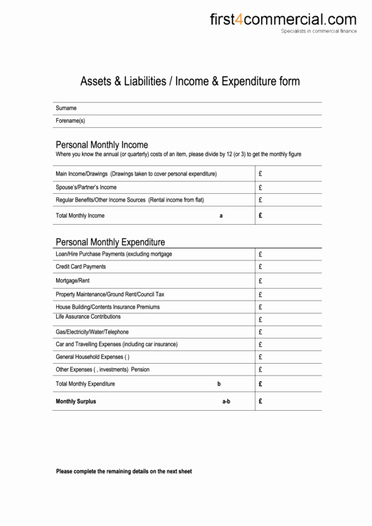Assets and Liabilities Worksheet Fresh assets &amp; Liabilities In E &amp; Expenditure form Printable