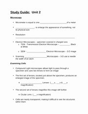 Atoms and Ions Worksheet Answers Best Of atoms Vs Ions Worksheet Answer Key Name Date Period