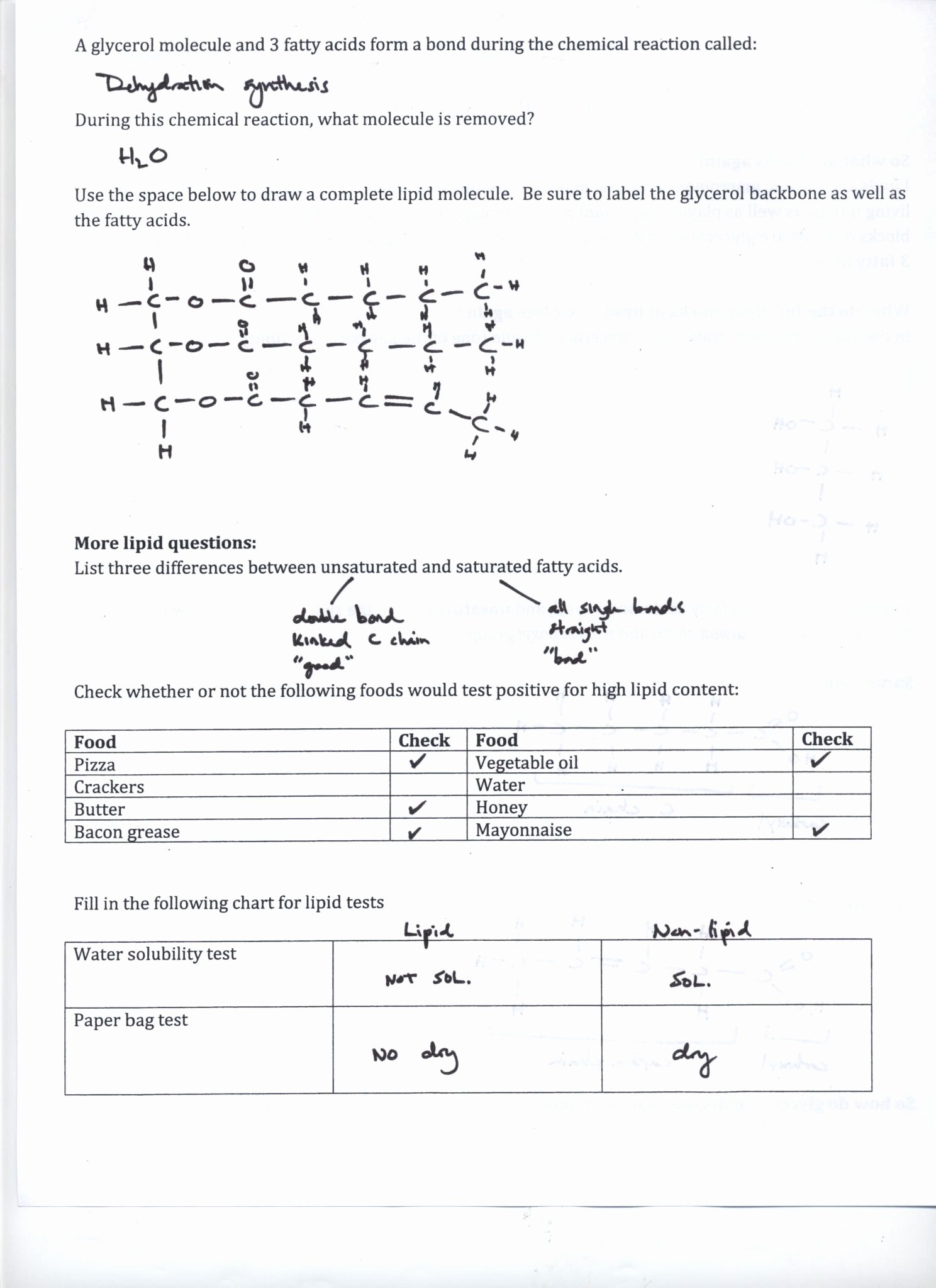 Atoms and Ions Worksheet New isotopes Worksheet with Answers