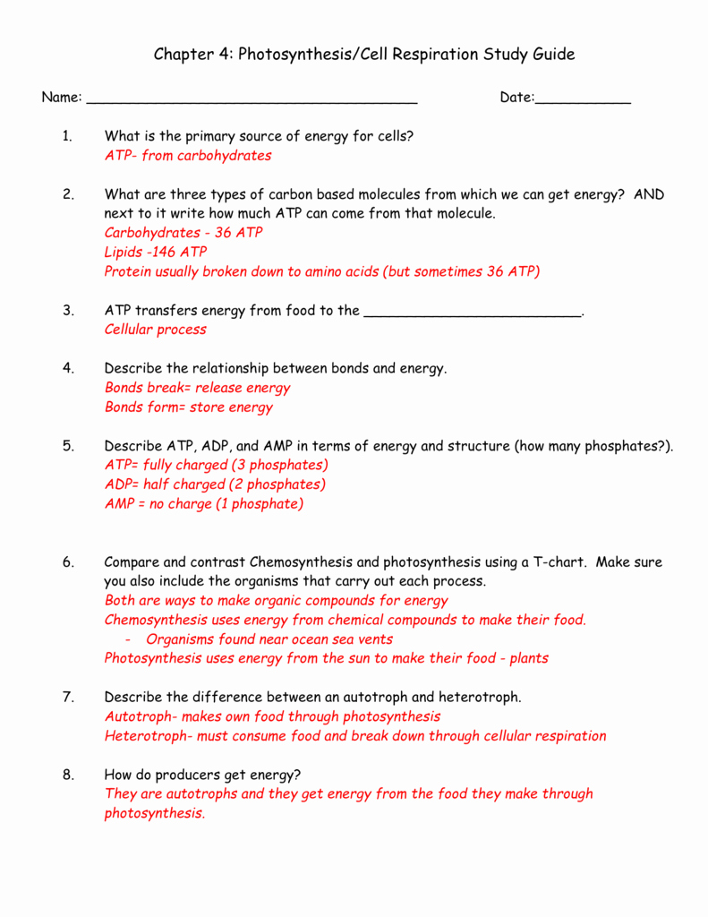 50 Atp Worksheet Answer Key