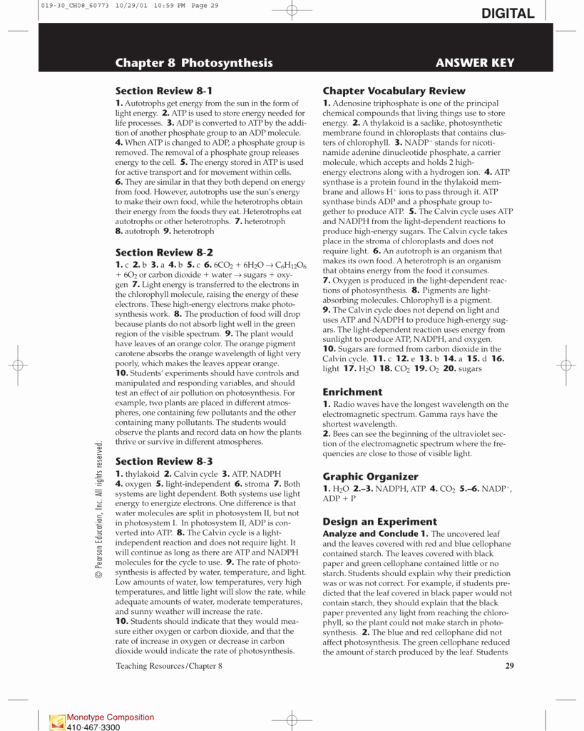 Atp Worksheet Answer Key