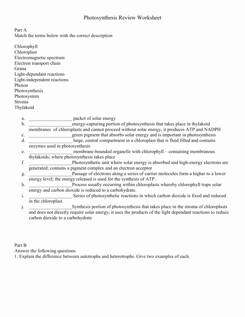 Atp Worksheet Answer Key Inspirational Synthesis Review Worksheet