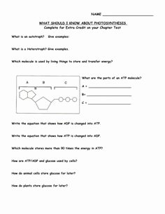 Atp Worksheet Answer Key Luxury Synthesis Task Cards