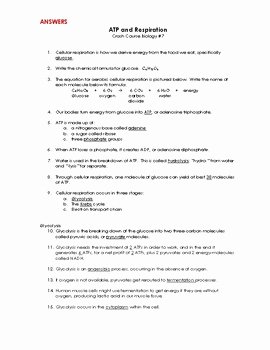 Atp Worksheet Answer Key New Crashcourse Biology 7 atp and Respiration by Science