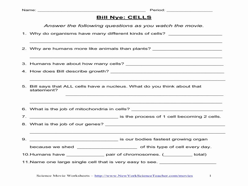 Bill Nye Biodiversity Worksheet Answers Lovely Bill Nye Biodiversity Free Printable Worksheets
