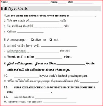 Bill Nye Chemical Reactions Worksheet Fresh This 13 Question Worksheet Provides A Way for Students to