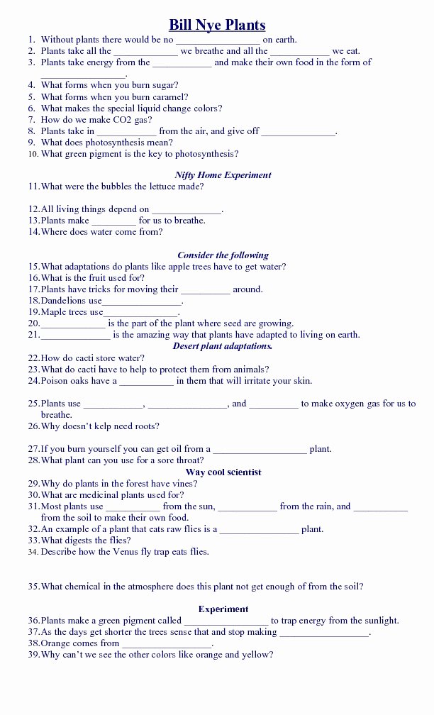 Bill Nye Energy Worksheet Answers New Bill Nye Plants Questions Worksheet for 5th 10th Grade