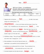 Bill Nye Erosion Worksheet Unique Bill Nye Animal Lo Otion Video Questions with Time Stamp
