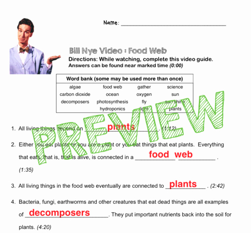 Bill Nye Food Web Worksheet Inspirational Bill Nye Video Questions Food Web W Time Stamp Word