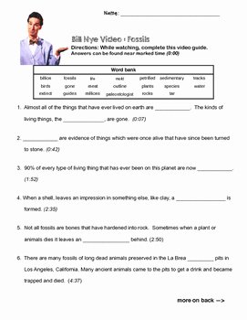 Bill Nye Fossils Worksheet Best Of Bill Nye the Science Guy Fossils Video Questions with Word