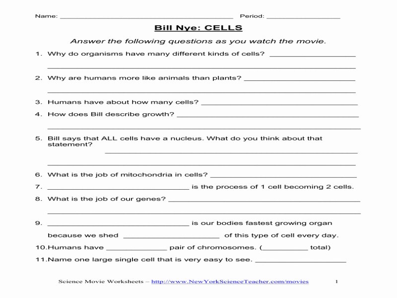 Bill Nye Magnetism Worksheet Answers Beautiful Bill Nye Magnetism Worksheet Free Printable Worksheets
