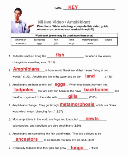 Bill Nye Magnetism Worksheet Answers Lovely Bill Nye Magnetism Worksheet the Best Worksheets Image