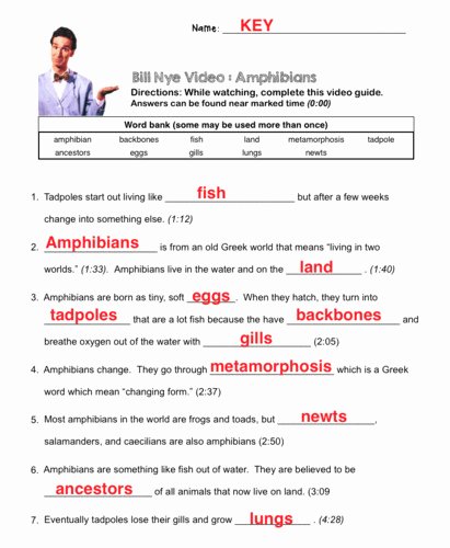 Bill Nye Gravity Worksheet