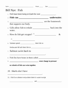 Bill Nye Motion Worksheet Answers Best Of Bill Nye Fish Video Questions