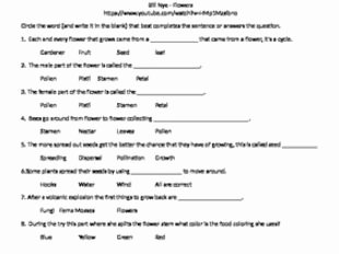 Bill Nye Plants Worksheet Awesome Bill Nye the Science Guy Flowering Plants Video Follow