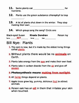 Bill Nye Plants Worksheet Best Of Bill Nye Plants by Jjms