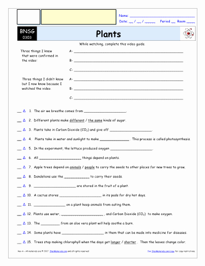 Bill Nye Plants Worksheet