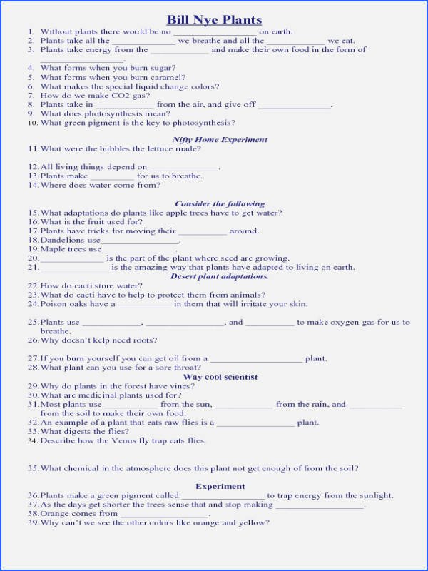 Bill Nye Plants Worksheet