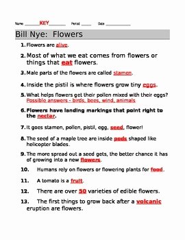 Bill Nye Plants Worksheet Unique Bill Nye Flowers Video Guide Sheet by Jjms
