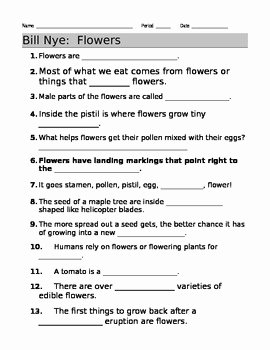 Bill Nye Plants Worksheet Unique Bill Nye Flowers Video Guide Sheet by Jjms