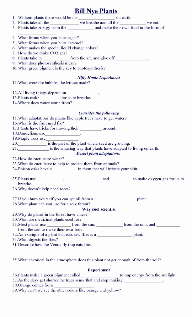 Bill Nye Plants Worksheet Unique Bill Nye Plants Questions Worksheet for 5th 10th Grade