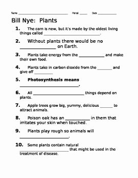 Bill Nye Respiration Worksheet Best Of Bill Nye Plants