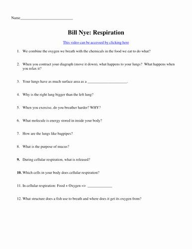Bill Nye Respiration Worksheet Best Of Bill Nye Video Worksheets Plete 20 Video Worksheet