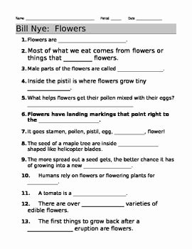 Bill Nye Respiration Worksheet Fresh 40 Best My Bbc Life &amp; Planet Earth Resources Images On