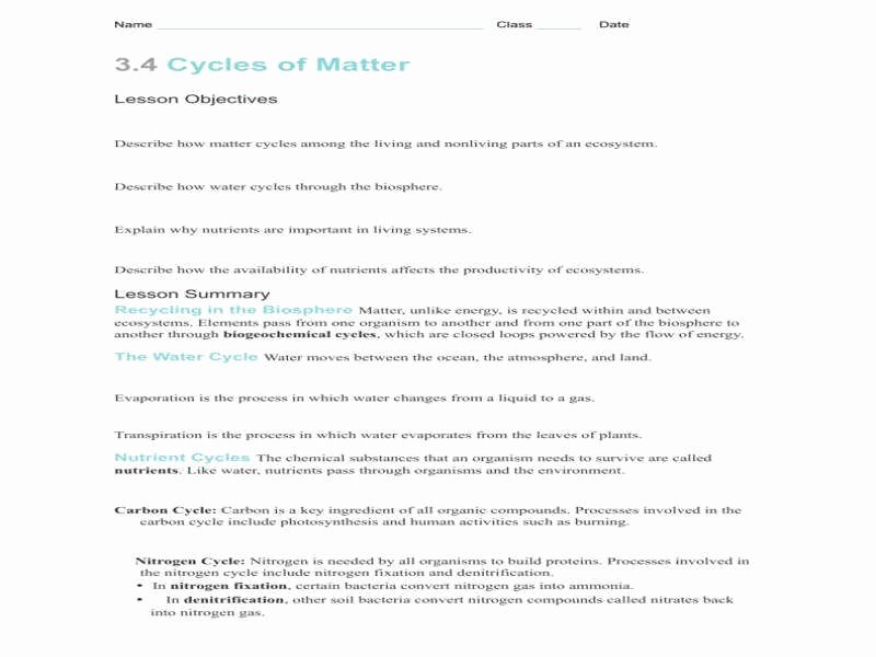 biogeochemical cycles worksheet