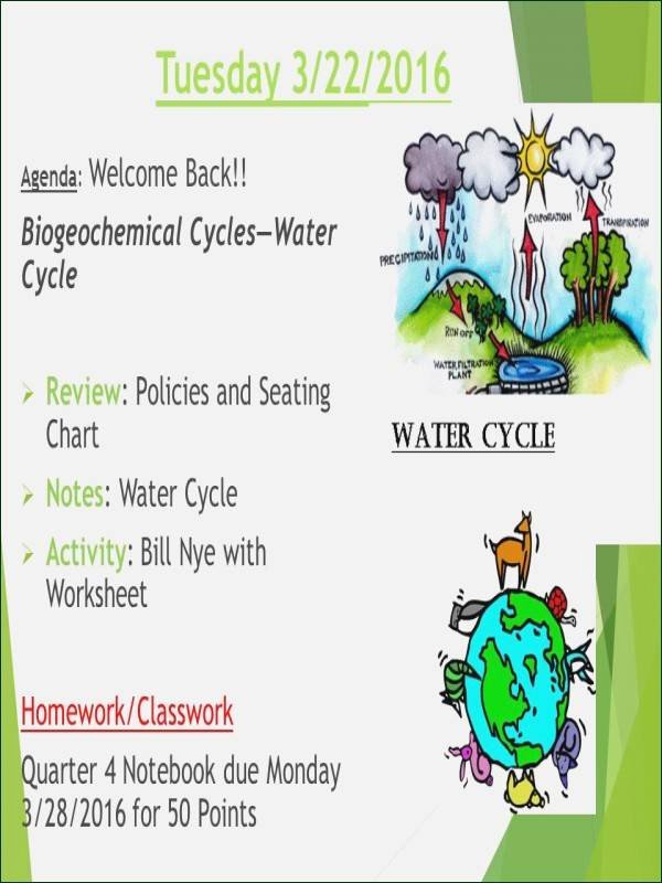 Biogeochemical Cycles Worksheet Answers Fresh Biogeochemical Cycles Worksheet