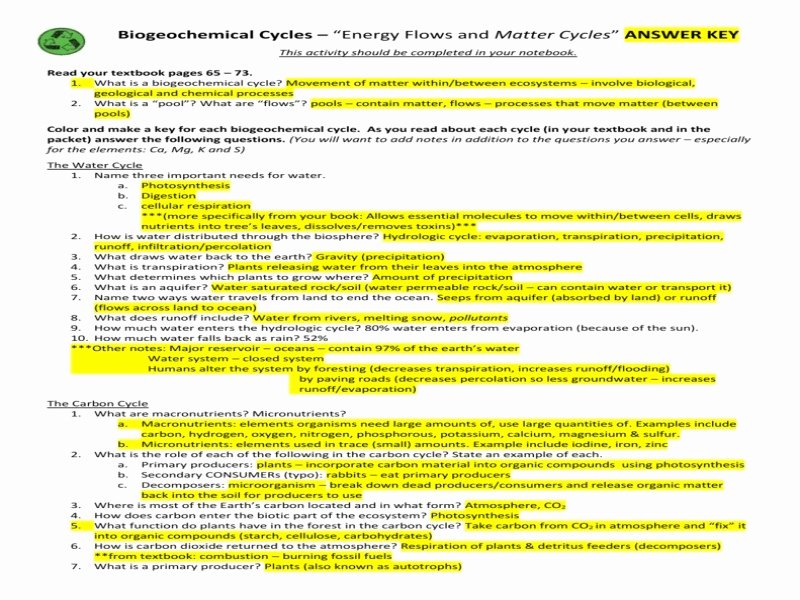 Biogeochemical Cycles Worksheet Answers