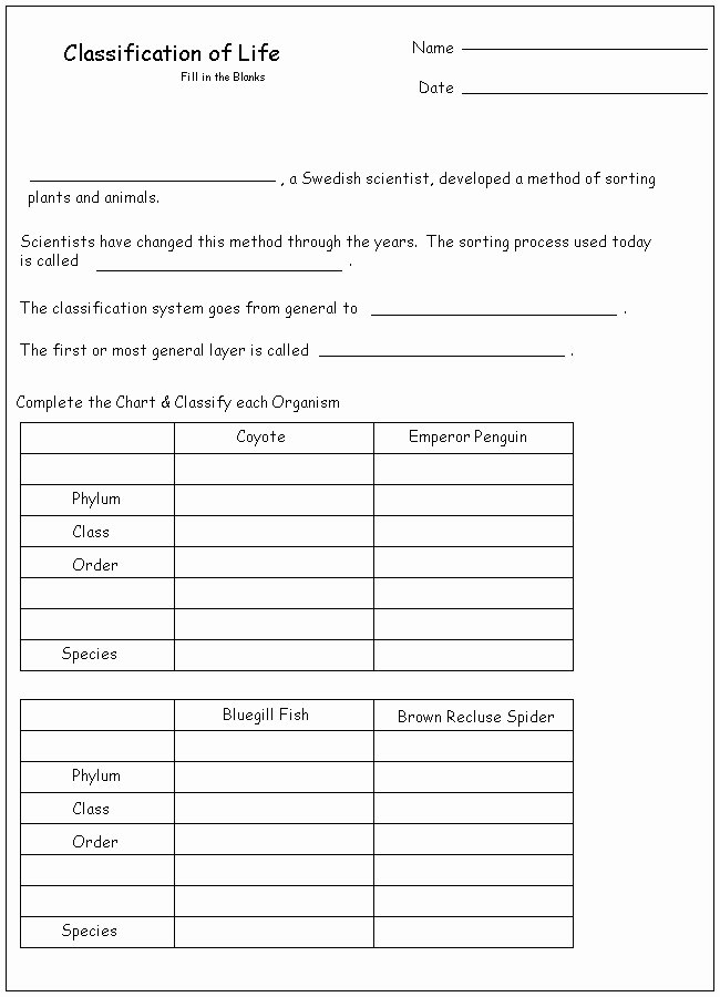 50 Biological Classification Worksheet Answer Key