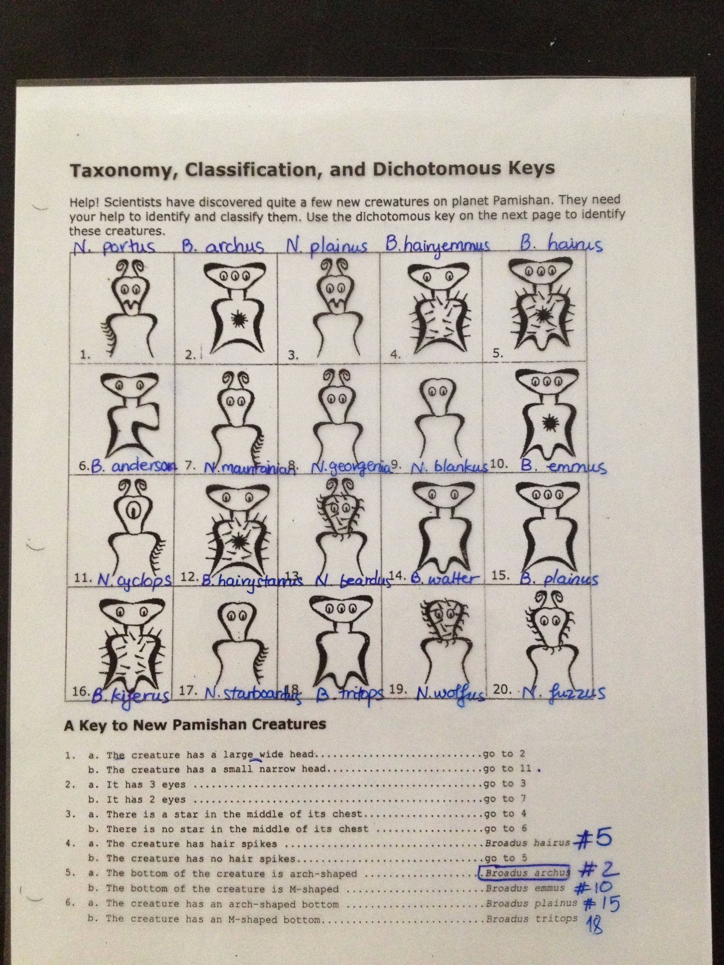 50 Biological Classification Worksheet Answer Key