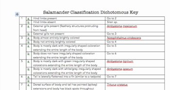Biological Classification Worksheet Answer Key Fresh Salamander Classification &amp; Dichotomous Key by Salamander