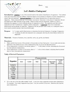 Biological Classification Worksheet Answers Awesome Cladogram Worksheet Answer Key