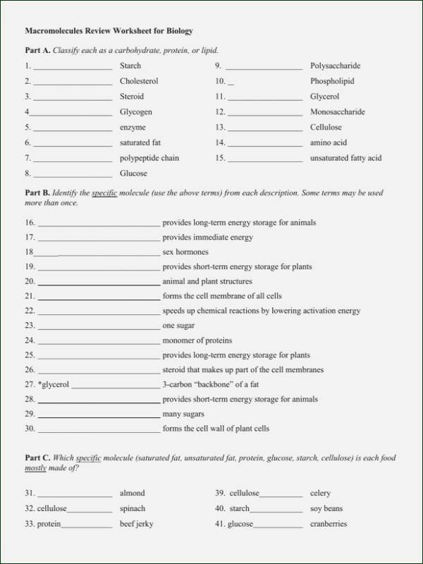 Biological Classification Worksheet Answers Elegant Biological Classification Pogil Answers