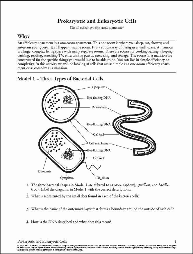 Biological Classification Worksheet Answers Inspirational Biological Classification Worksheet