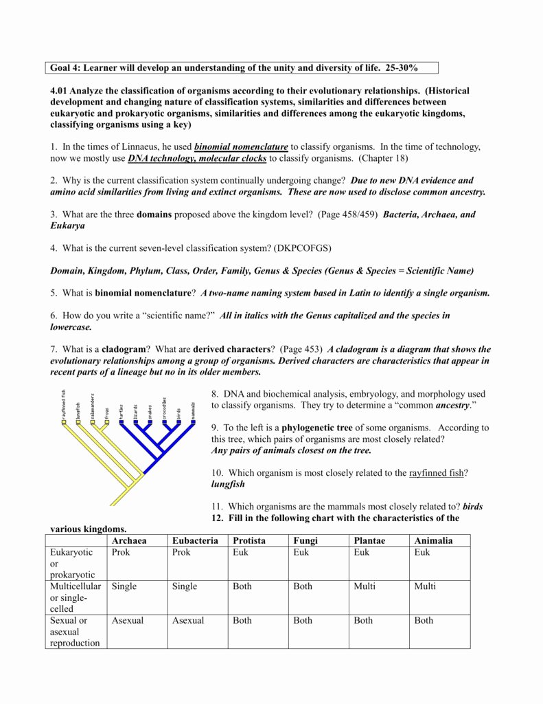 Biological Classification Worksheet Answers Lovely Taxonomy Worksheet Biology Answers Three Domain System