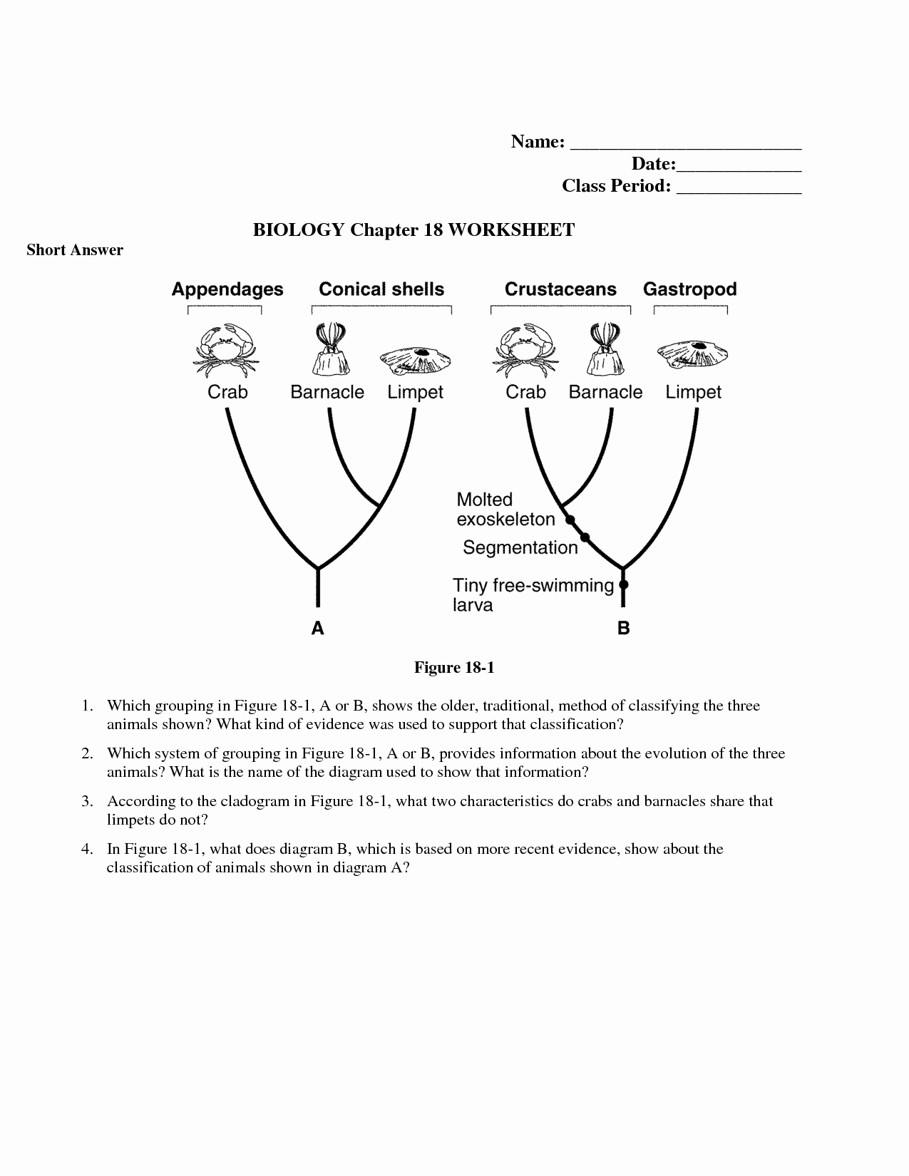 Biological Classification Worksheet Answers Unique 15 Best Of Classifying Worksheet Middle School