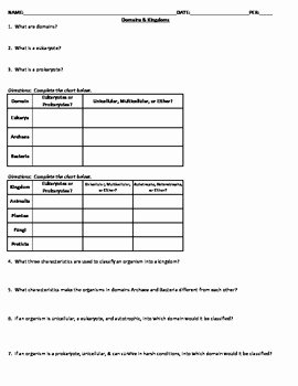 Biological Classification Worksheet Answers Unique Domains &amp; Kingdoms Classification Worksheet