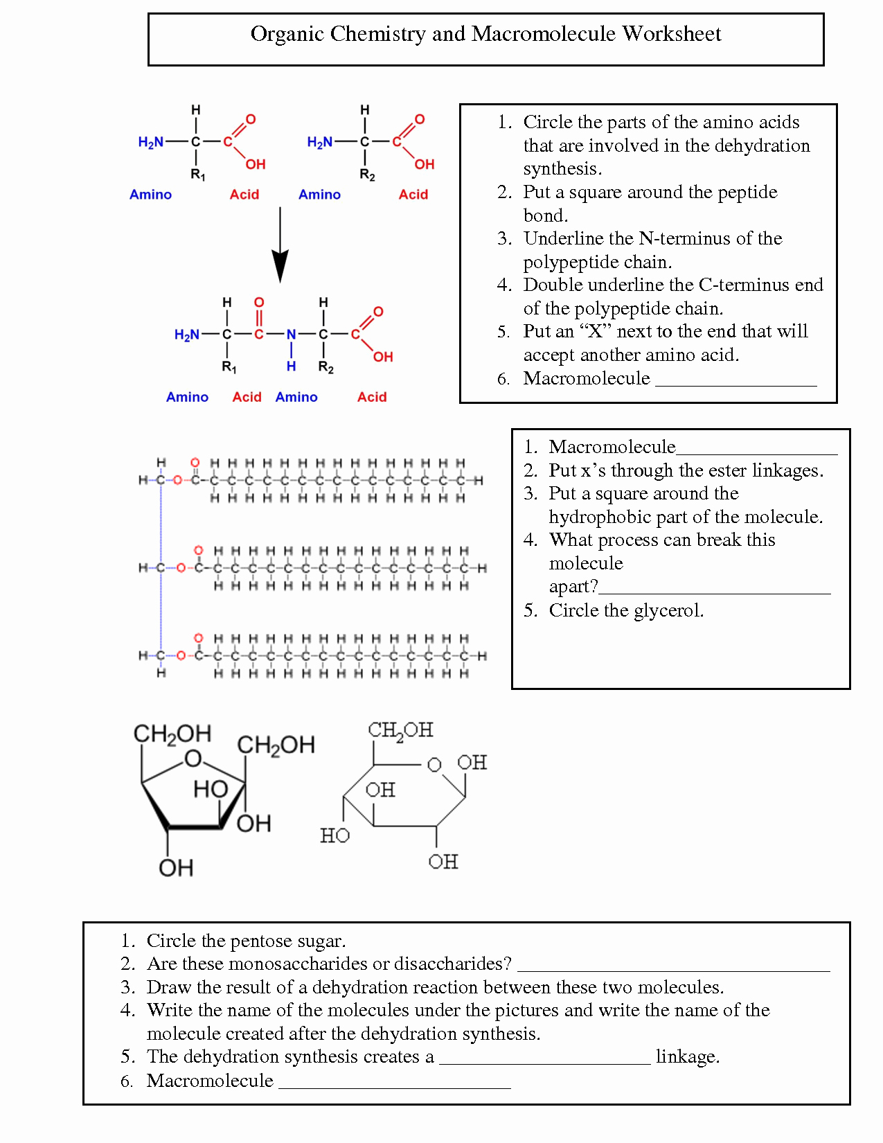 Biological Molecules Worksheet Answers Awesome organic Chemistry Worksheet Biological Science Picture