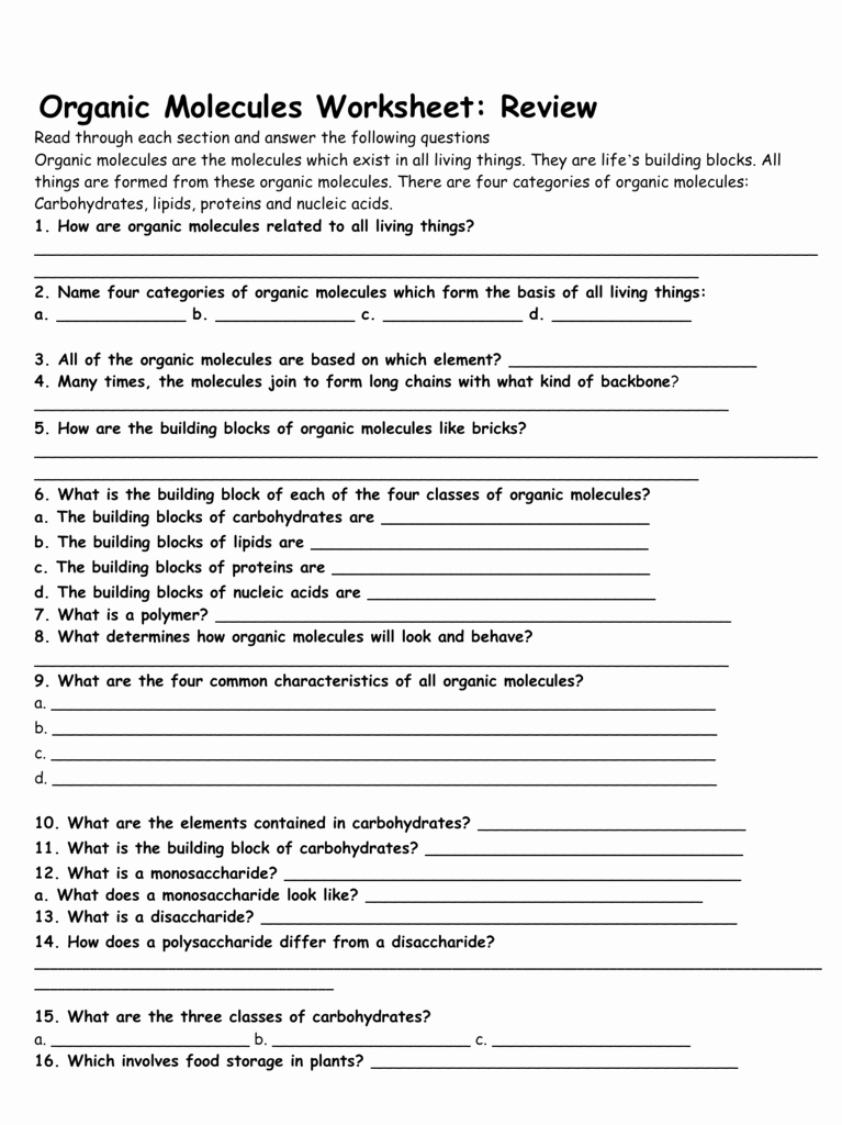 Biological Molecules Worksheet Answers Awesome organic Molecules Worksheet Review