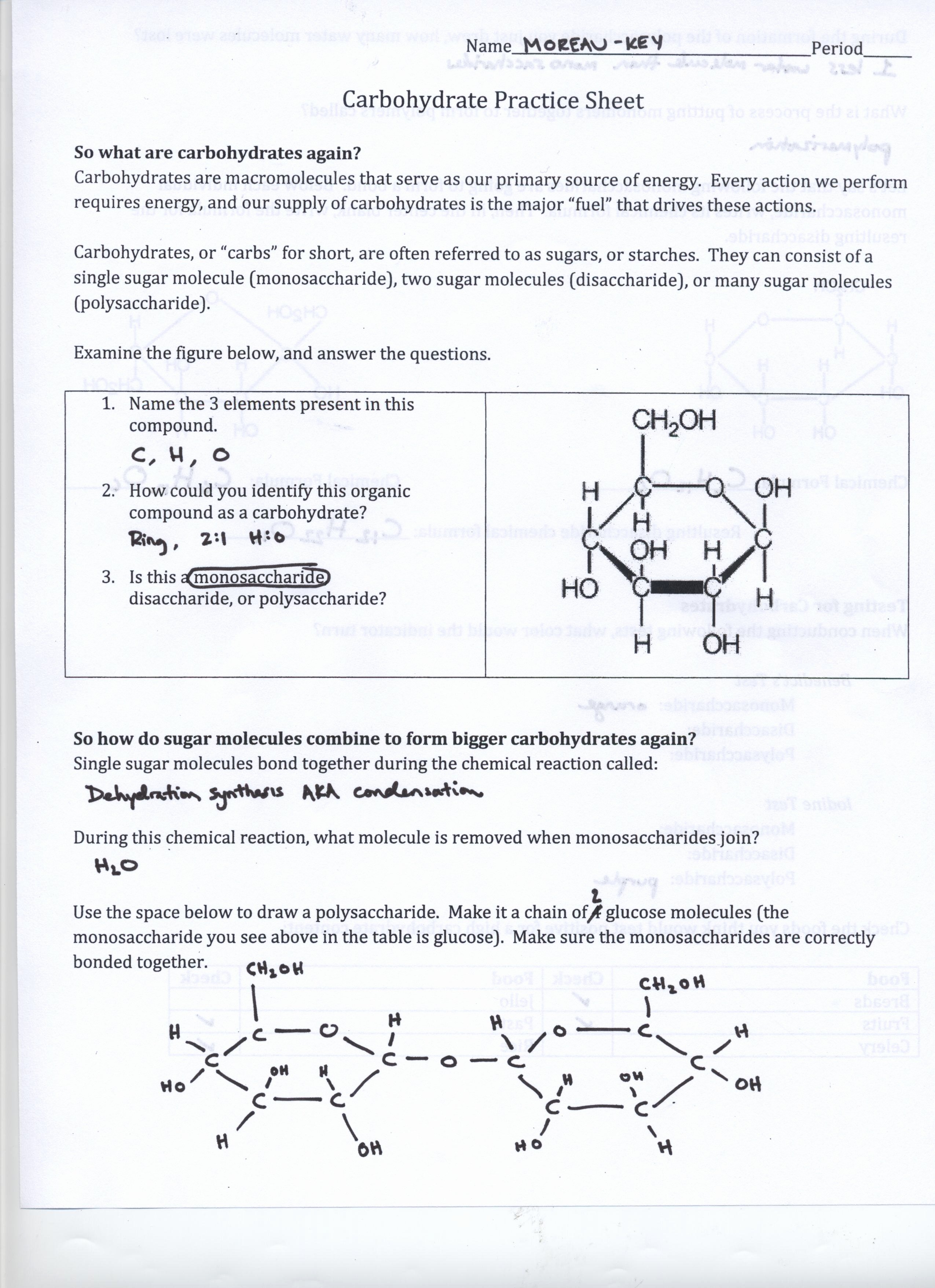 Molecules Worksheet Answer Key