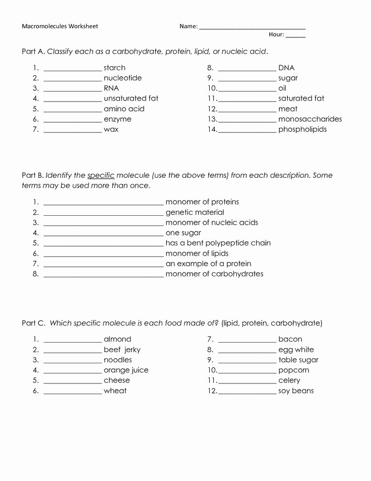 Biological Molecules Worksheet Answers New 1000 Images About Biology Macromolecules On Pinterest